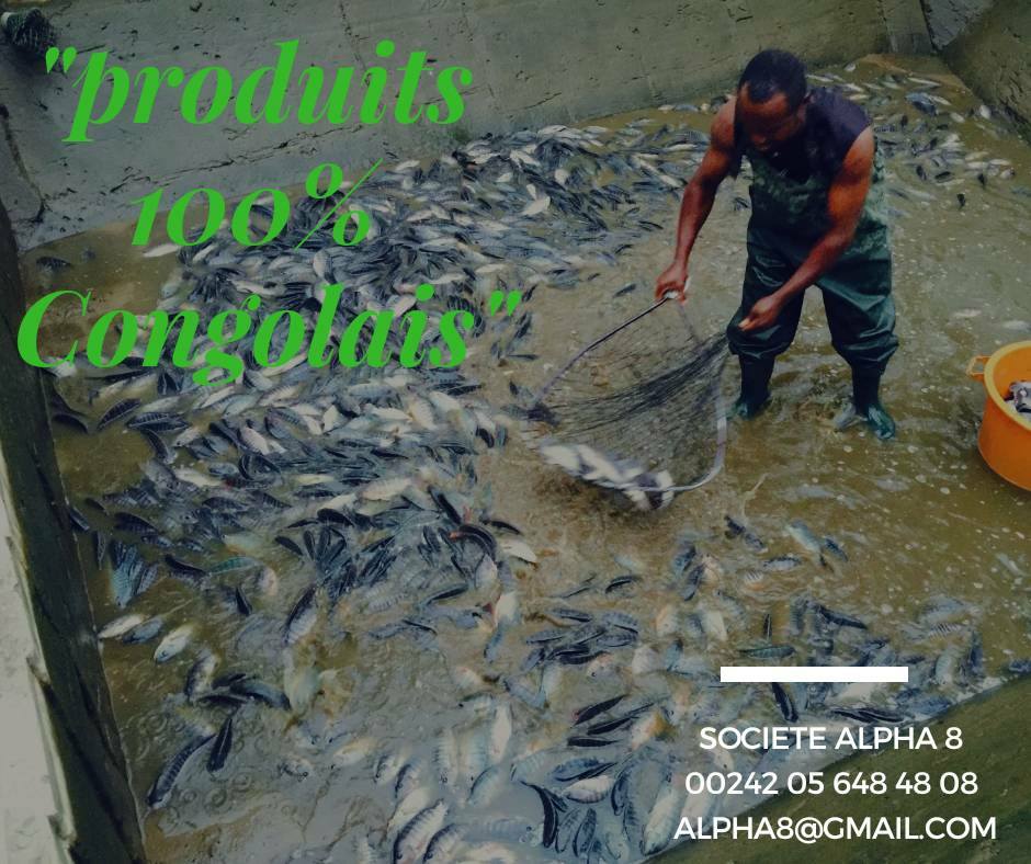 congo_talents's tweet photo. CONNAISSEZ-VOUS LA SOCIÉTÉ ALPHA 8?
Alpha 8 est une société de droit congolais, spécialisée dans l'agriculture, la pisciculture et l'élevage.
L'INTEGRALITE DANS LE 4eme NUMÉRO DE CONGOTALENTS Disponible bientôt.....
https://t.co/QYfAyMvELi https://t.co/COcOoIMEaI
