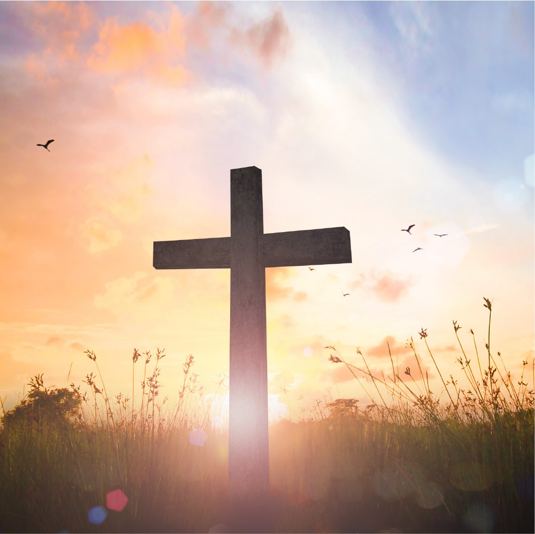 University College tweet media