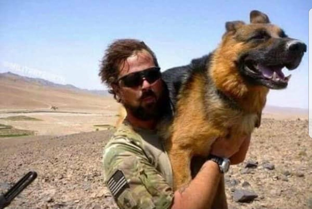 photo Bork Bork Nom Nom Meme twitter