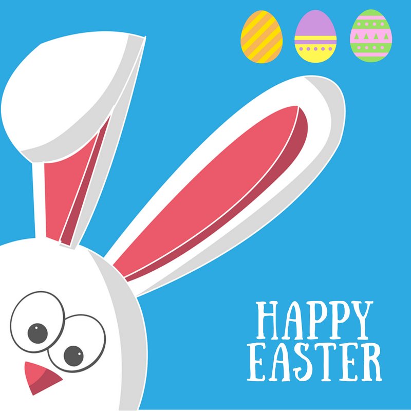 RodewayInnF's tweet image. Where #flowers bloom, so does hope.-Lady Bird Johnson #AZspring #EasterBunny