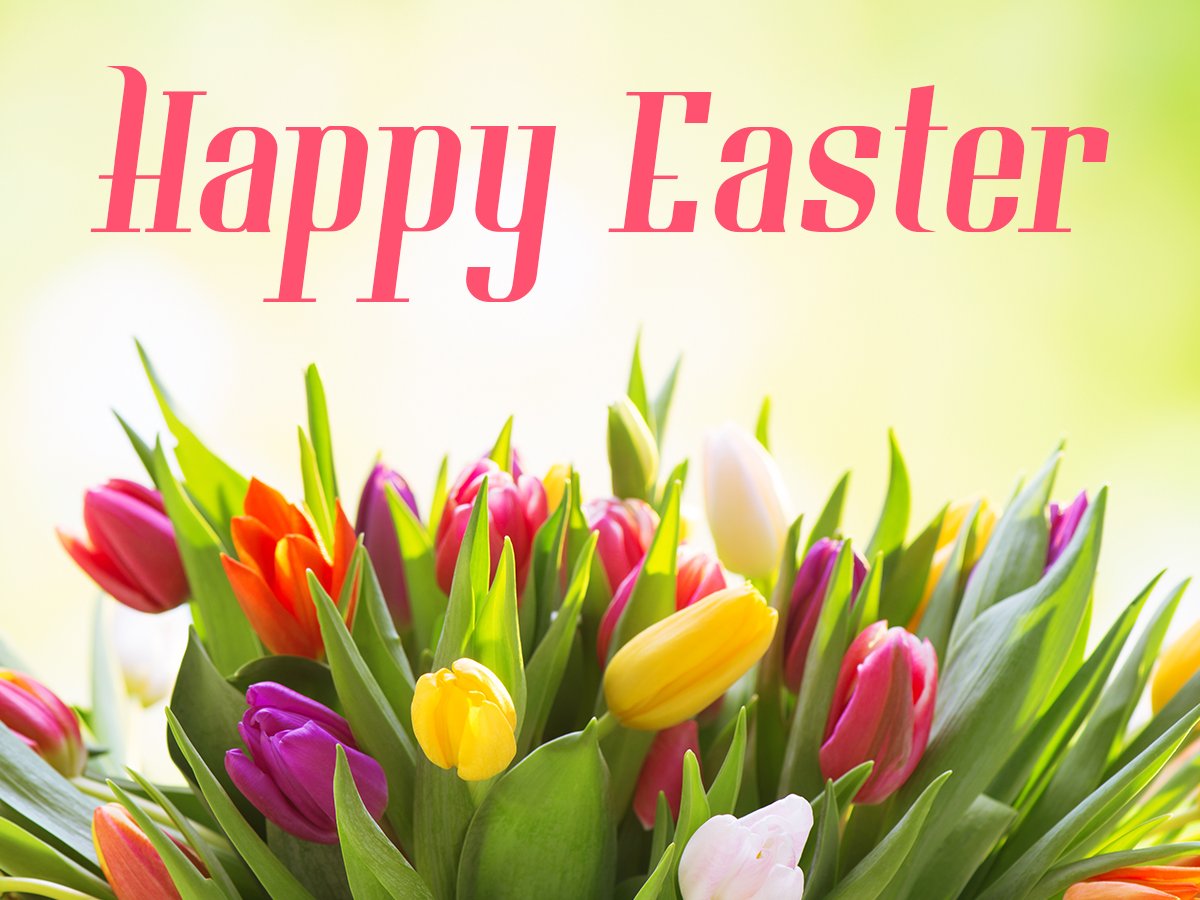 KellyASmith3's tweet photo. Wishing you the best this #Easter day. #holiday https://t.co/yb3WI8LLso