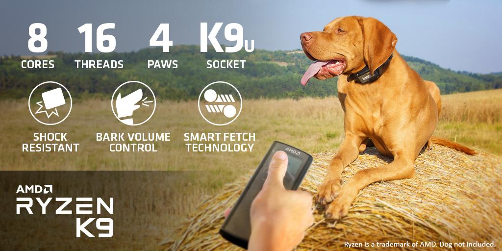 AMD's tweet image. Introducing the new AMD Ryzen K9! Accelerate your pet experience with the best technology available, just in time for #YearOfTheDog!