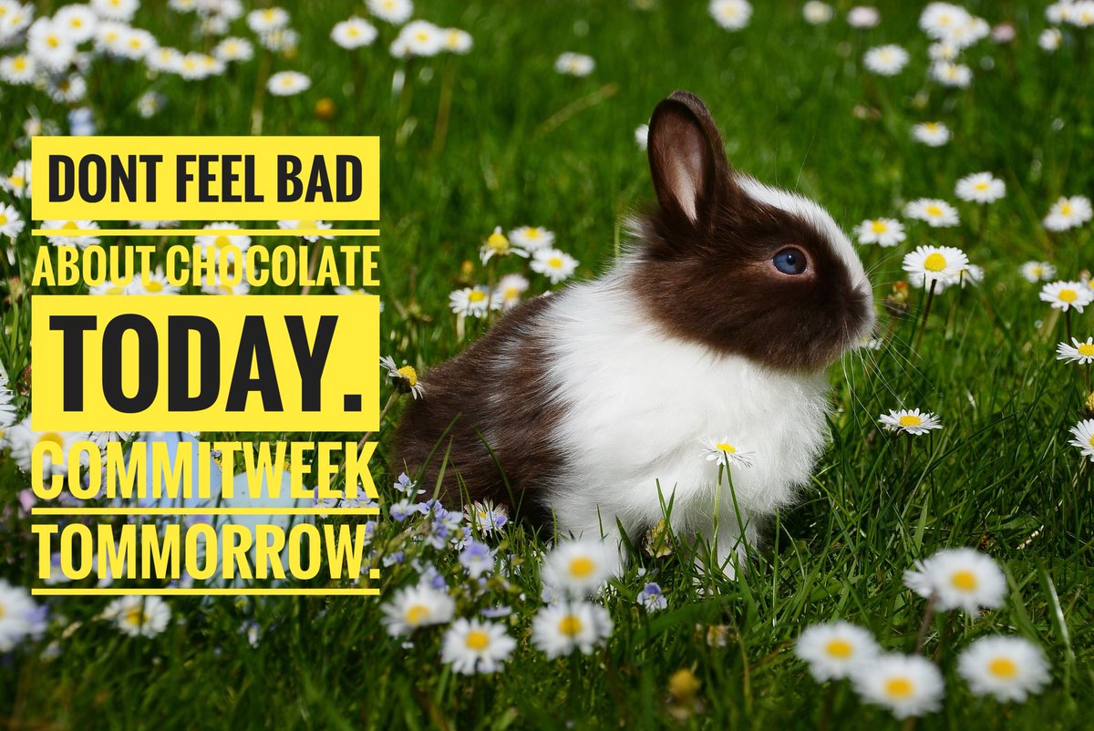 CommitWeek's tweet photo. Get two or more friends to commit to logging 10 miles this week at $2 per mile. $30 is a nice motivation to hit your goal. #running #walking #dietomorrow #easter #passiveincome #foodjournal #dietculture #gympartners #gymmotivation https://t.co/CoT0AEPFNX
