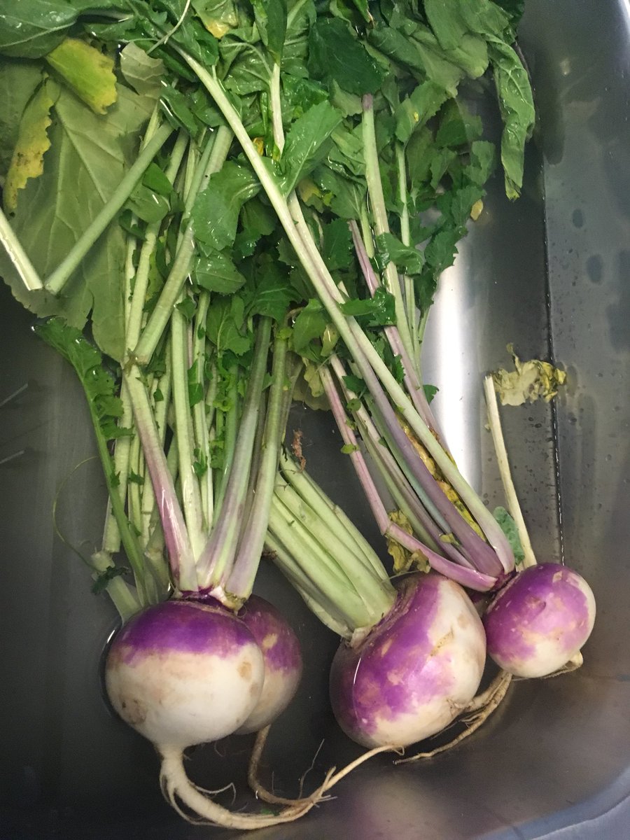 DCL0715's tweet photo. @trishayearwood I’m trying to find the greens recipe from yesterday on the show page, but can’t find it.   Ready! https://t.co/augvp2Uwh3