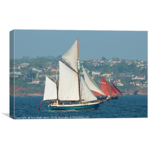 TomWW83's tweet photo. I have a new piece of art for sale on https://t.co/575iGxlYpR please share and like. https://t.co/12gq0rZP6E #Pilgrim #Tectona #Torbay https://t.co/ItuyMTRij2