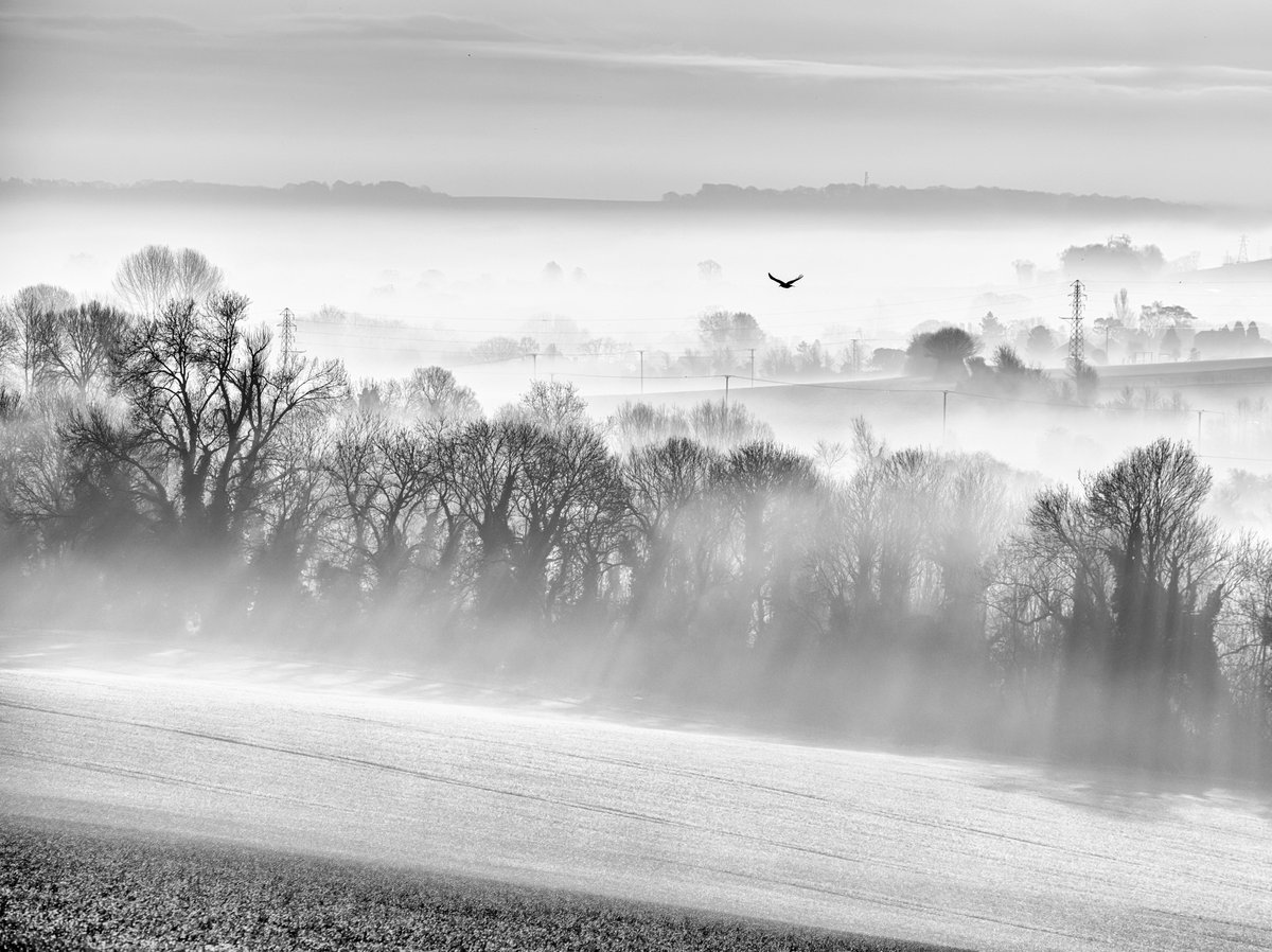 martinjamescook's tweet image. Dawn flight over the Ebble valley @SalisInfo @StormHour @VisitWiltshire