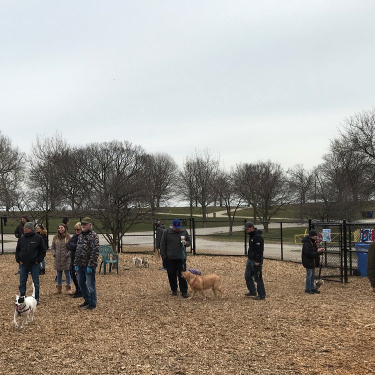 EdgewaterDog's tweet image. Everyone is here! (Where are you?) April Fooks party at Edgewater Dog Park! #aprilfools #dogpark #dogslife #edgewater