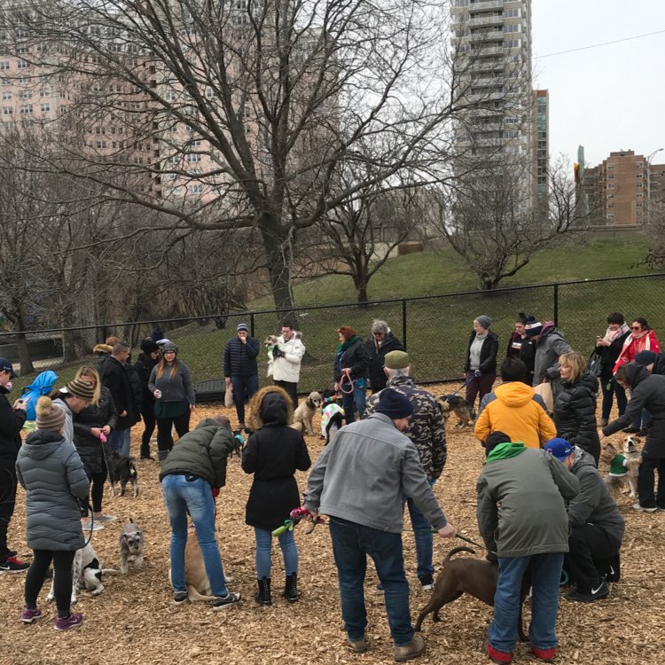 EdgewaterDog's tweet image. Voting on the the April Fools royalty! #dogpark #edgewater  #dogslife