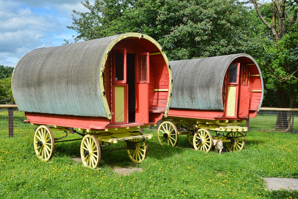 Camping is my heart (@happycamperzone) on Twitter photo 