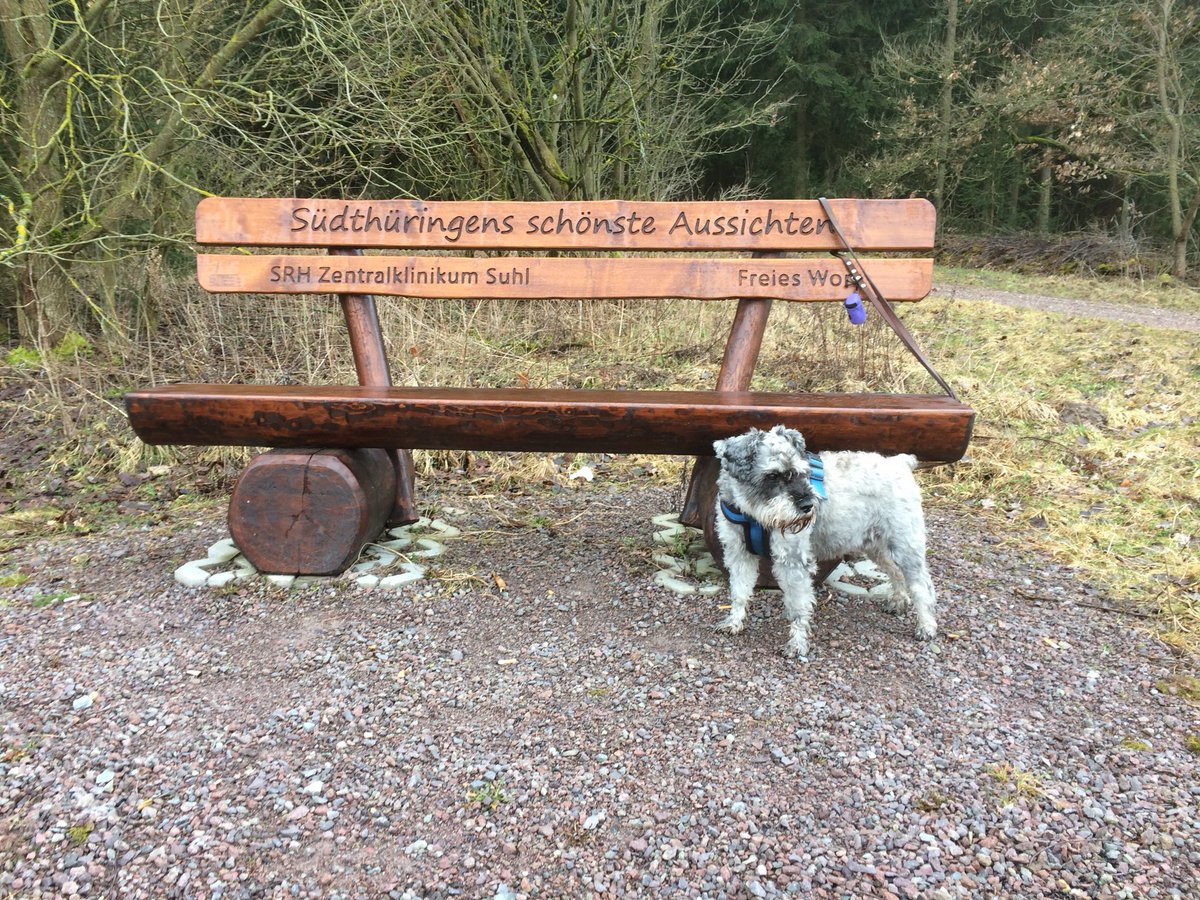 Reinhard Fuchs tweet media