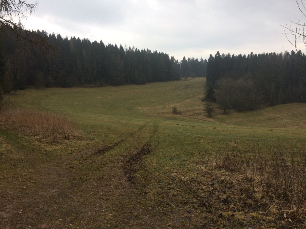 Reinhard Fuchs tweet media