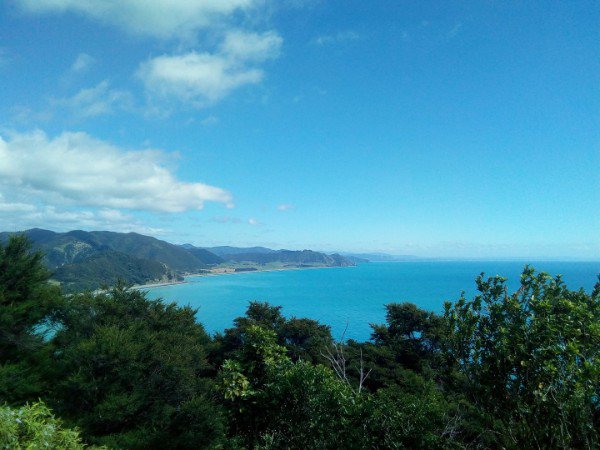 TravelWellMag's tweet photo. Mesmerizing 360 Degree Views From Mountain Top Opotiki New Zealand https://t.co/fPFkTyyMSf via @RyanBiddulph https://t.co/K0e52rwMyj