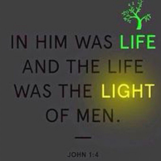 jinks_andre's tweet image. 