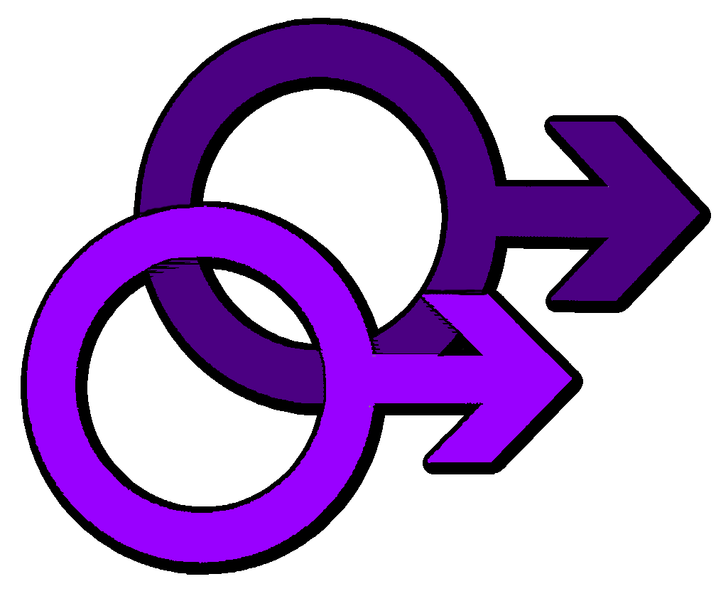 AreCatsGay's tweet photo. New, 'official' #ggtow symbol: Two male symbols, which historically represent Mars (the warrior). Instead of pointing out into the sky, they are at 90 degree angles showing a deliberate path. The colors are indigo (more masc) and purple (more fem), both masculine, both male https://t.co/UTf2yM4uVg