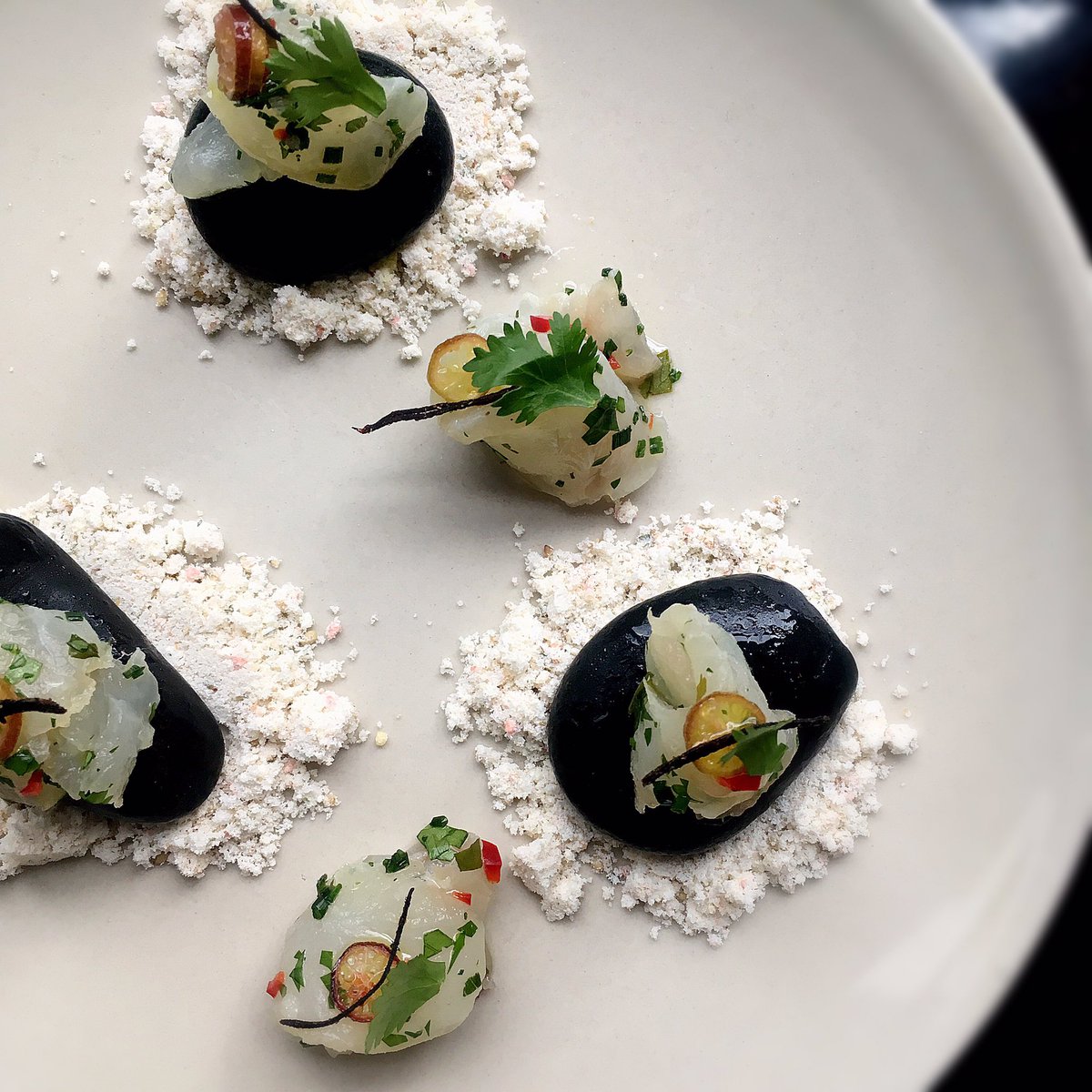 First course option for tonight's Sunday Supper : fluke sashimi with white miso, cilantro and finger lime. #snowinaprilpreparation