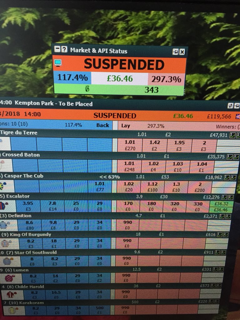 Laying to be out of the placing , always in rear and looked hard to place , looked a easy lay bet at around even money #BetfairExchange #inplay #thegeekstoy #betting #betfair #horseracing
