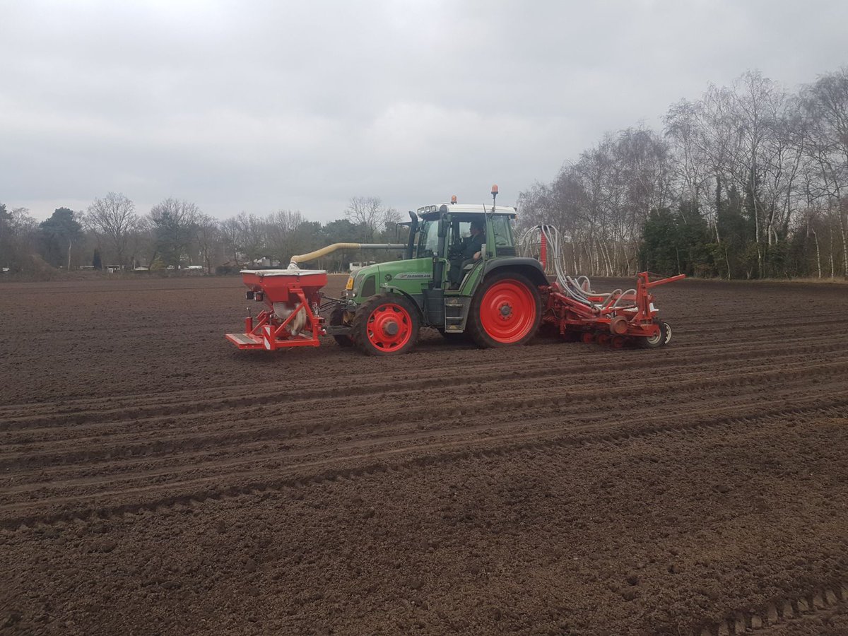De eerste zonnebloemen zijn begin maart alweer gezaaid🚜 kunnen jullie ook niet wachten om ze weer in huis te halen?🌻🌻