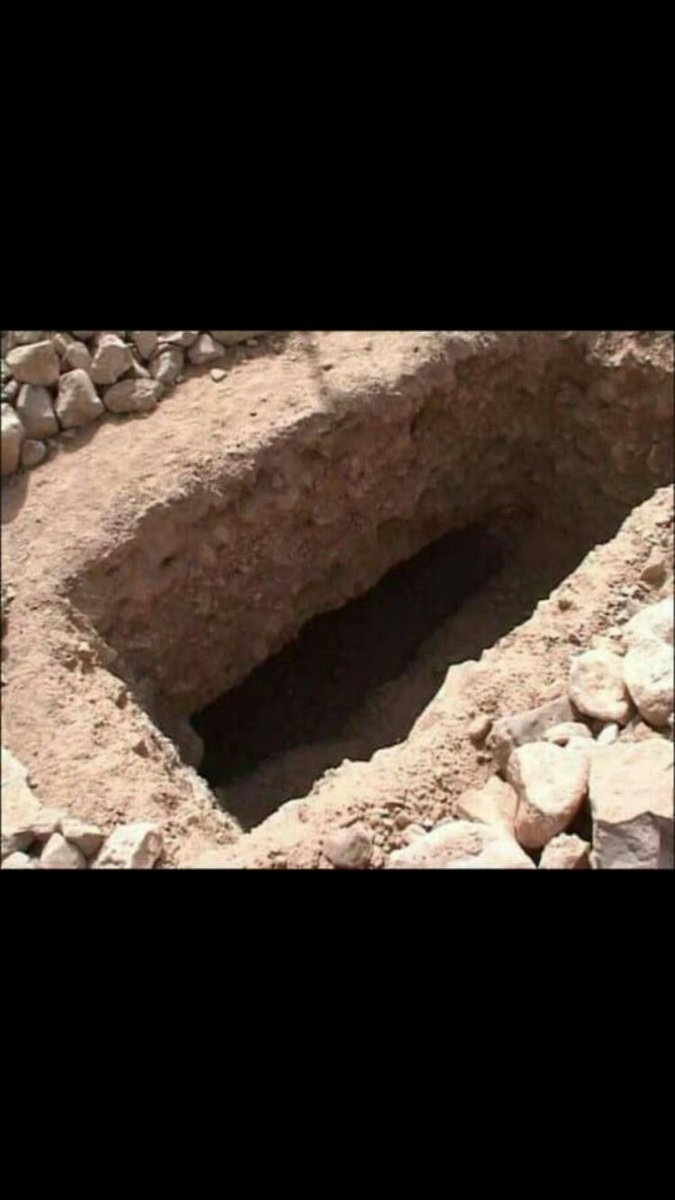 hindAlqahtani33 tweet picture