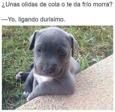 17Emms's tweet image. 