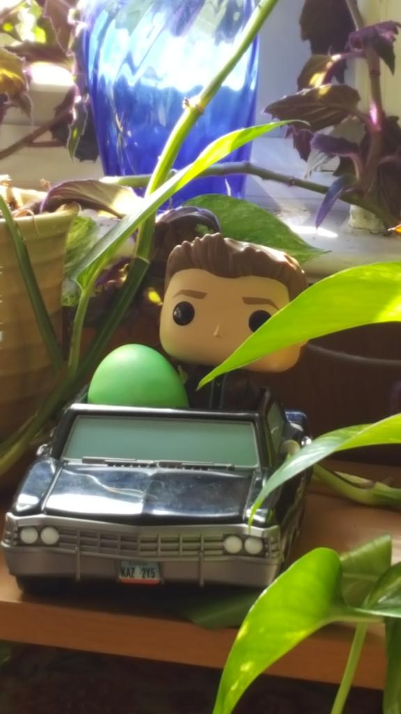 FangasmSPN's tweet image. The Easter bunny definitely knows where to hide the eggs in this house... #ShotgunShutsHisCakehole  #Baby #Supernatural