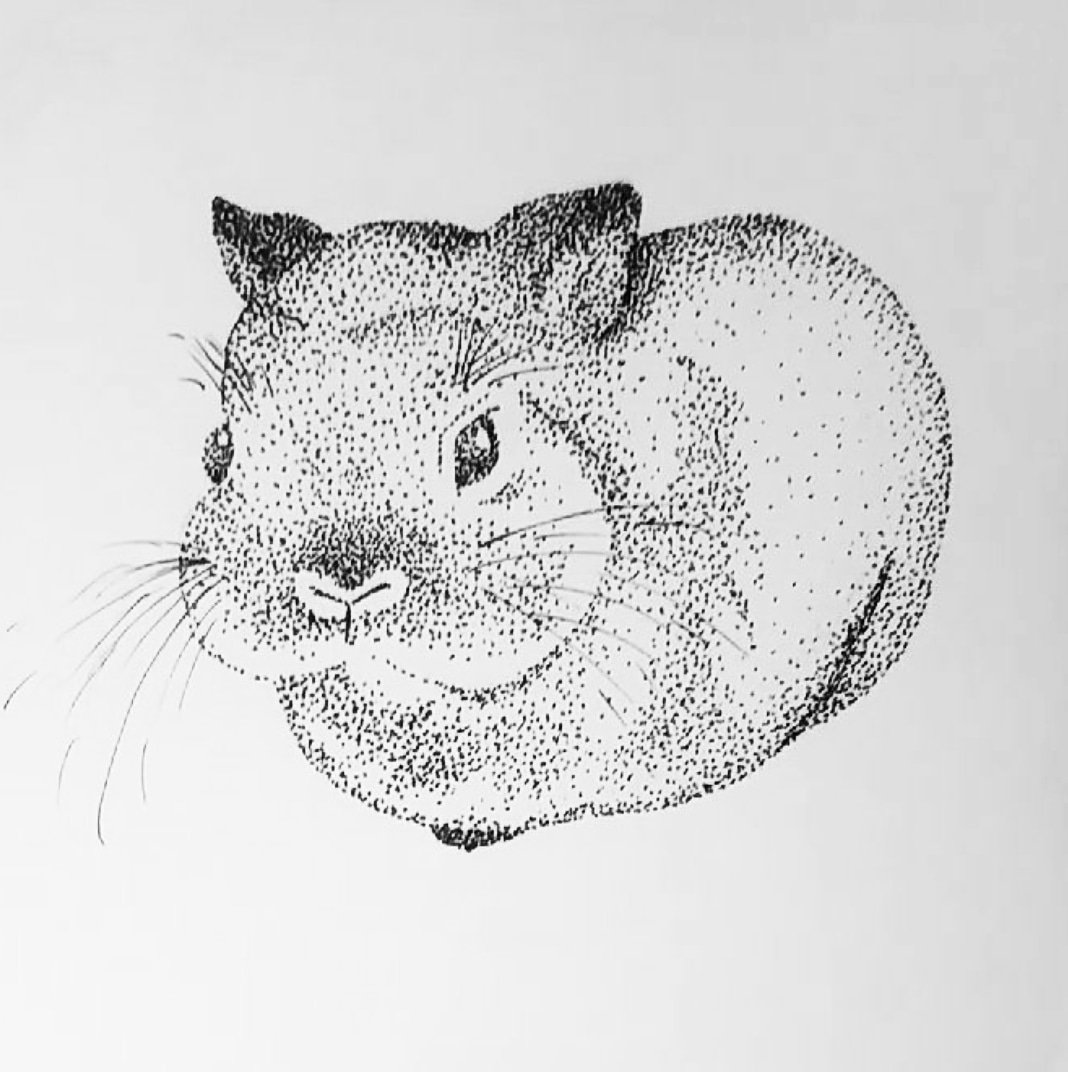 scarletts_art on Twitter: