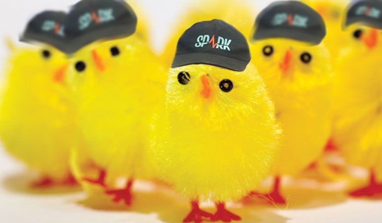 TeamSparkFS's tweet image. Happy easter from all of us in Team Spark ❤️🏎