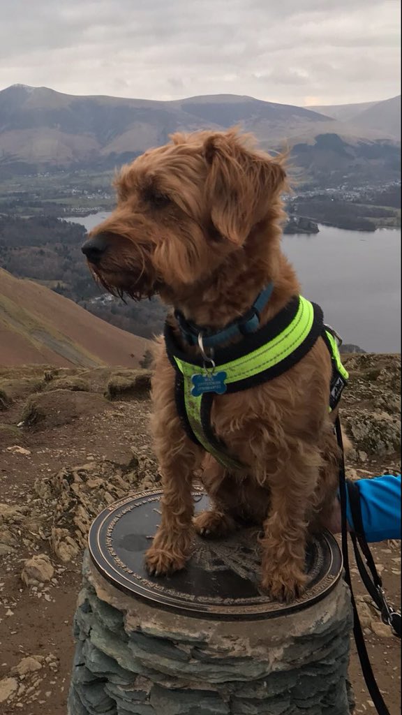 Catbells 11miles #LakeDistrict #NotJustLakes #walk1000