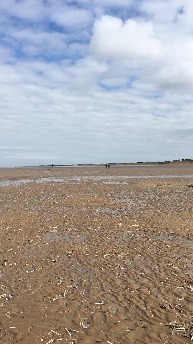 Easter Day on the beach. Family, fish and chips and very excited dogs of course not forgetting the wellies