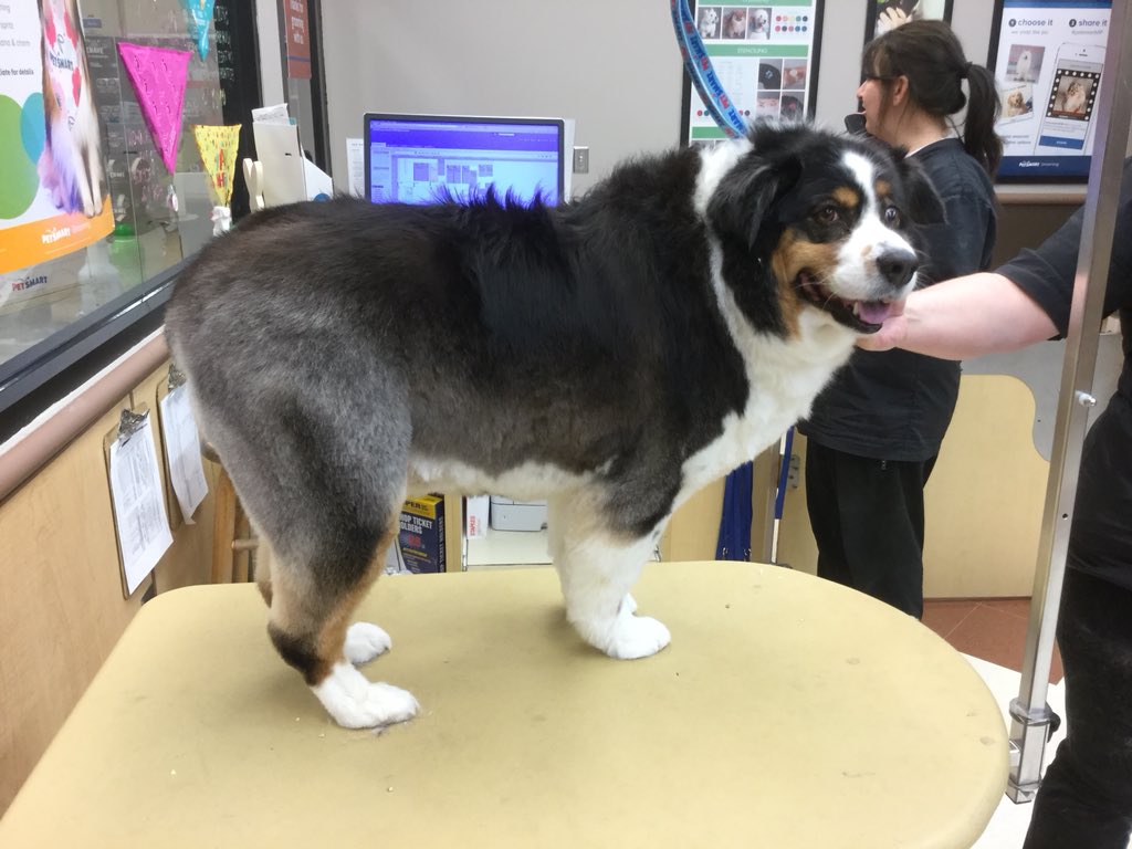 Kyahs #extrememakeover done by Danielle #1580 #cny #northeastgrooming
