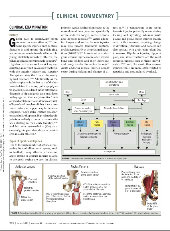 KThorborg's tweet photo. PDF of our “Clinical Commentary” access from new FAI issue in @JOSPT Get it here https://t.co/xwO0U4vrXY https://t.co/nGJKVlnsh2