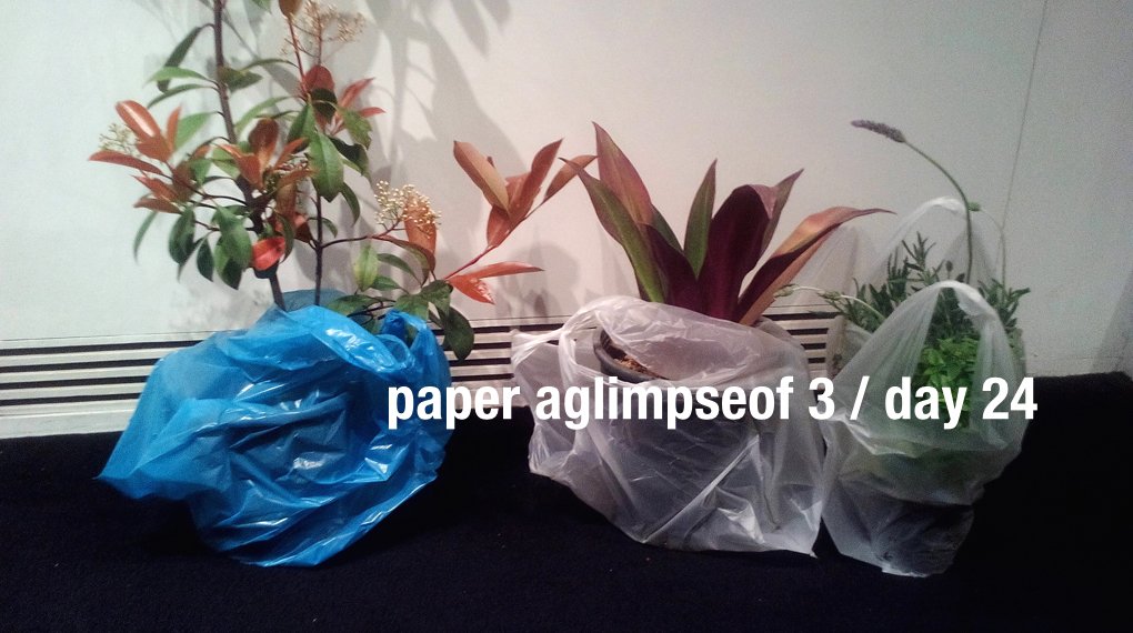 aglimpseof's tweet photo. April’s Fools Day is not for amateurs.

#aglimpseofnet #aglimpseof #paperaglimpseof https://t.co/hfF7Pz0qtL