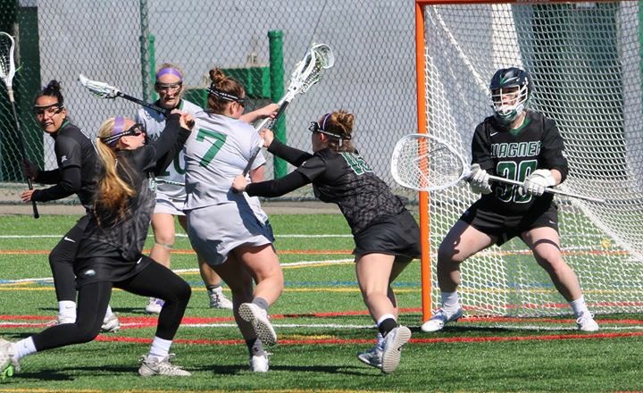 Momfourlax's tweet photo. @LohudCollege    former section  1 US Lacrosse all americans Molly Fitzpatrick #7(Lakeland Panas)and Kelsey Fee #30 (White Plains)went head to head when Manhattan College hosted Wagner College——The Seahawks came away with the win at Gaelic Park! https://t.co/SjVmxD5aoL