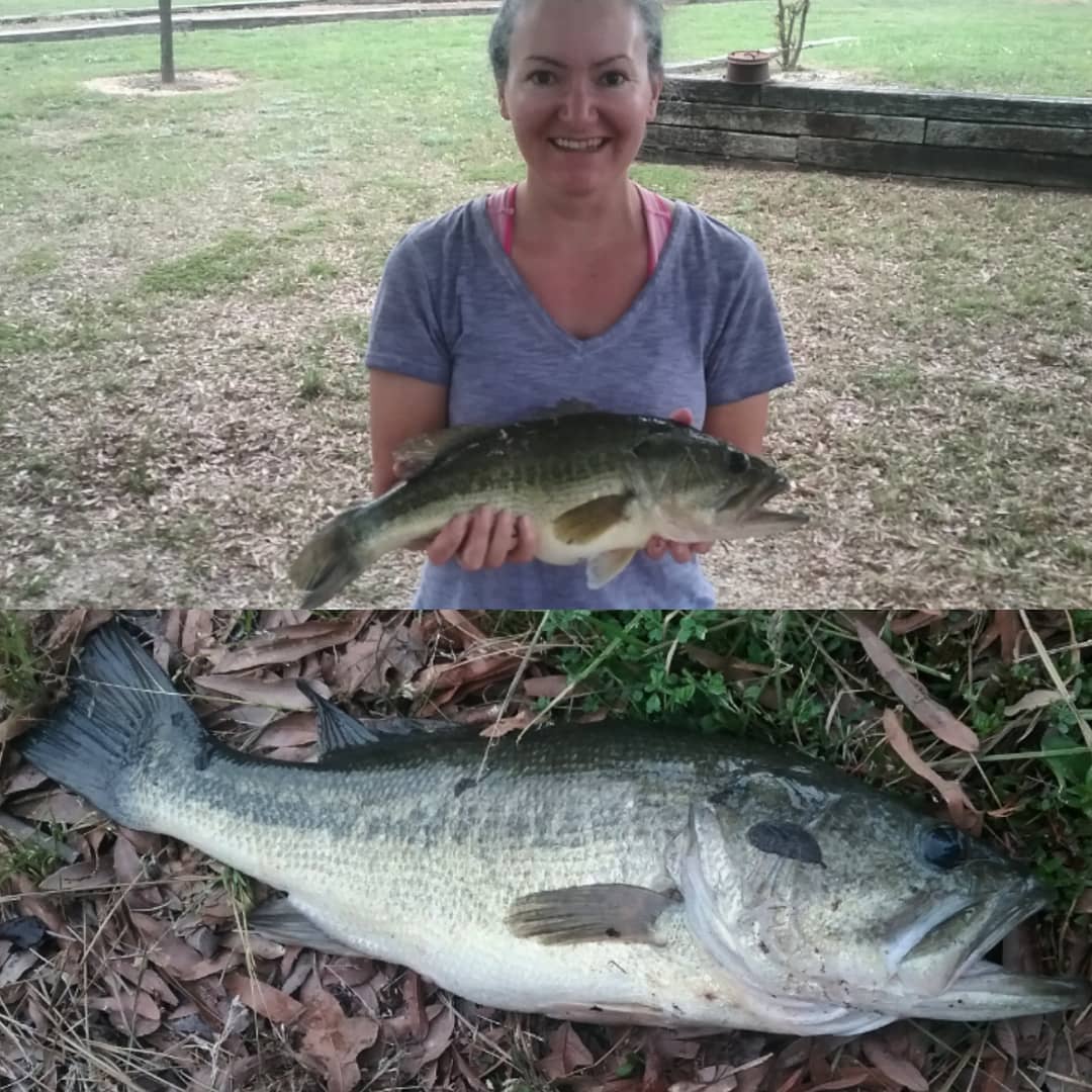 BeccaNJP's tweet photo. Arrived at #LakeFork #Texas at 4pm. Had RV parked, set up, &amp; plugged in by 4:30pm. Threw my 1st cast at 5pm. Caught my 1st bass at 5:02pm.

3.75lbs, aka "dinner."
 
#bassfishing #fishing #amfishing #outdoors #hunteranglerrver #rvlife #travel #nomads #howtosunday https://t.co/Ij4xw98gv1