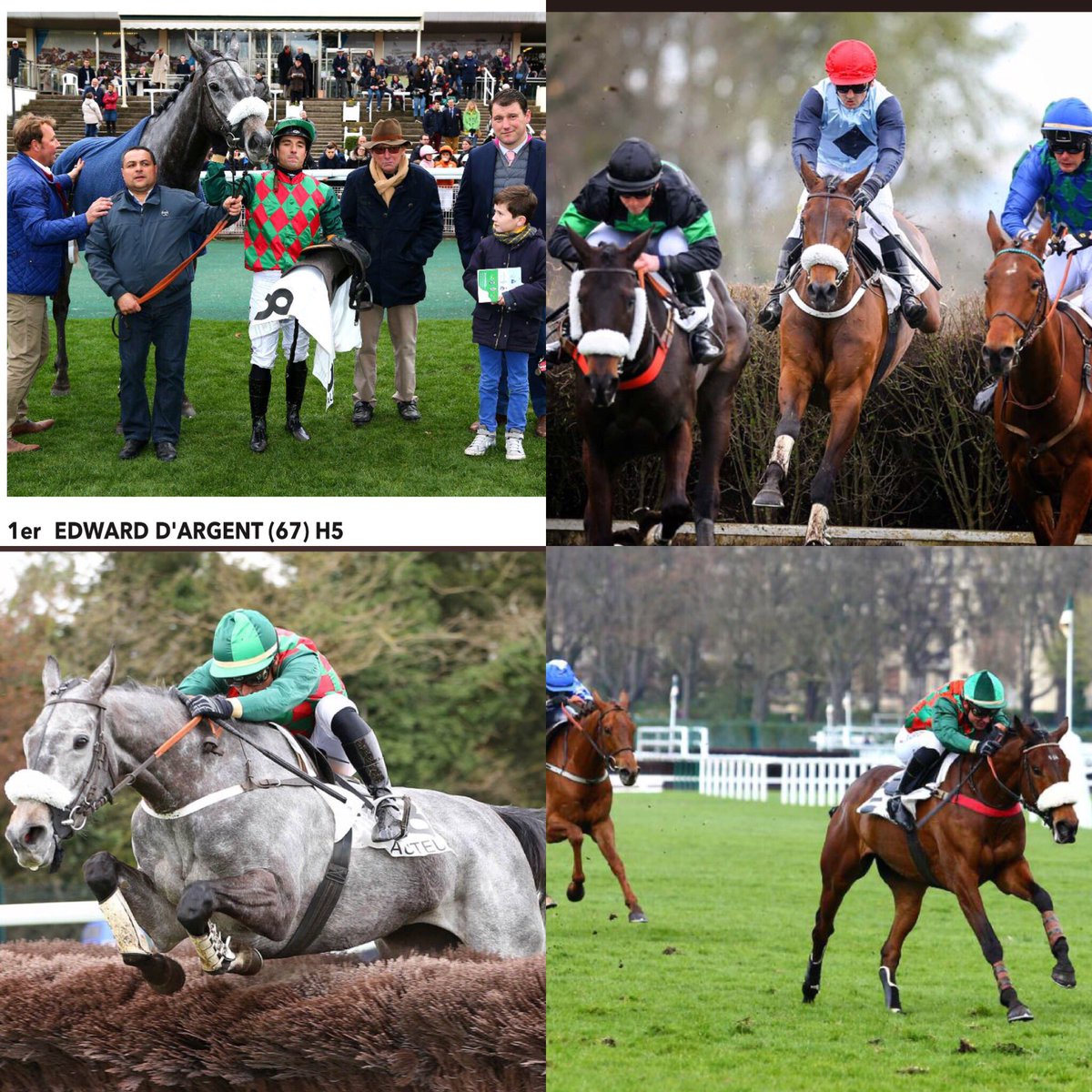 HarasLDC's tweet photo. Congrats all involved @fg_auteuil
#noequivalent #perfecteaster https://t.co/wrqCa0TIAW