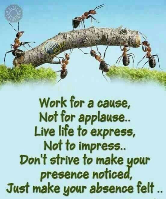 AdeoyeKayode5's tweet photo. https://t.co/BAxcdeGBhW