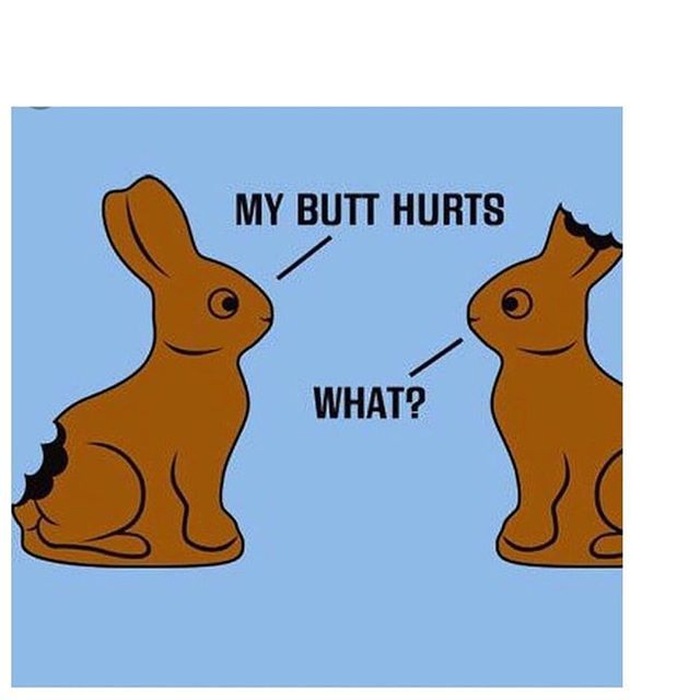oilandgrain's tweet photo. Happy Easter bunnies! New Sunday Funnies in stories ⬆️ https://t.co/LWe13FP9Tn https://t.co/bcEKXFqf6X