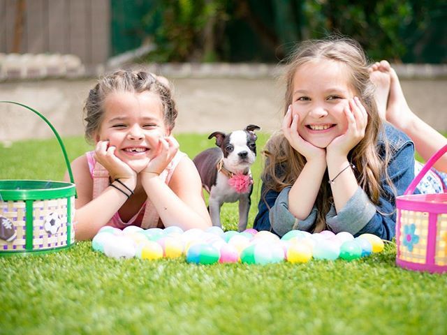 LiveADay's tweet image. When your puppy #photobombs in the most perfect way! Happy Easter! #easterminisession ift.tt/2Gw7NzS