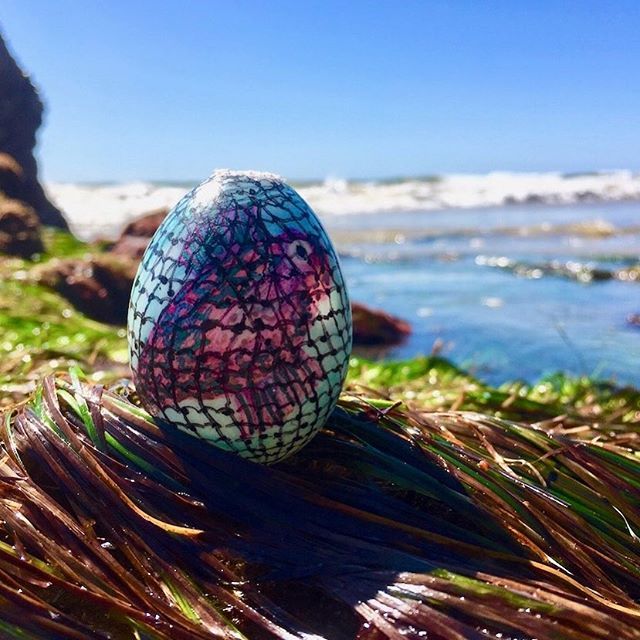 HAPPY EASTER EVERYONE! #huntingtonbeach #surf #ocean Thanks @nickamurray for the #california egg art #georgekarger #murrayfamily #love