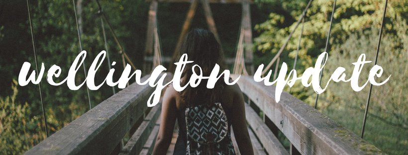 To follow on from our info session last month, we are making some good progress. We are in the process of securing a manger who will look after the operations side of things and we have a board in place. We hope to be fully operational by June 🙋🏻‍♀️ #progress