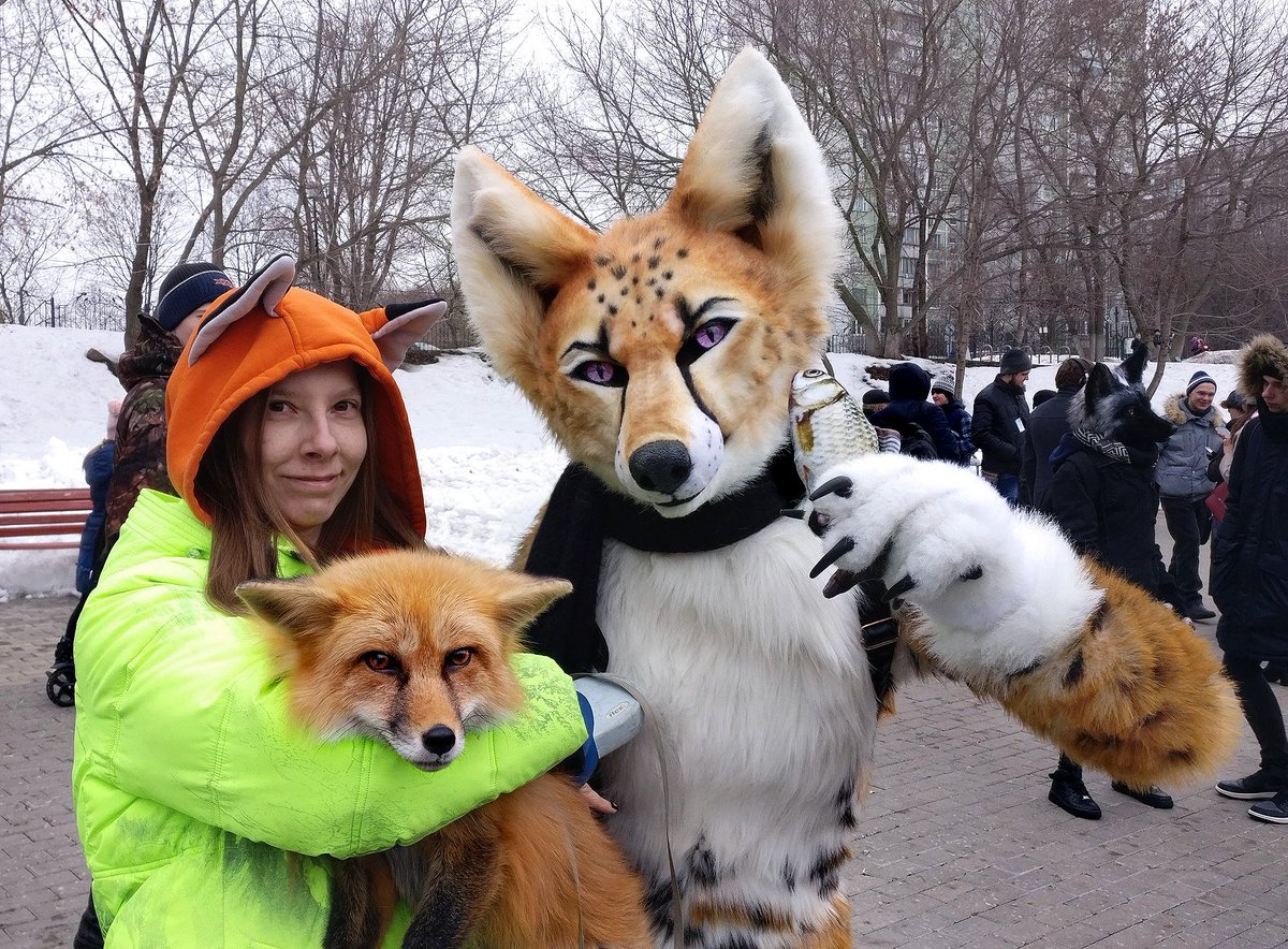 IrruanWorkshop's tweet photo. Foxes ^___^
.
.
.
#irruanworkshop #fursuitfox #foxes #owlfoxday #fursuitwalk #лисогепард #furry https://t.co/ZPbI2PbULd