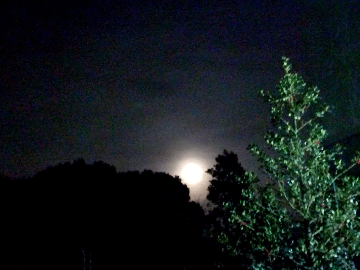 paquisoldado's tweet image. #Boonanitvida!! "Estima la vida que vius... I viu la vida que estimes..." #sentits #anhels #somnis