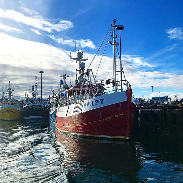Lightship95 tweet media