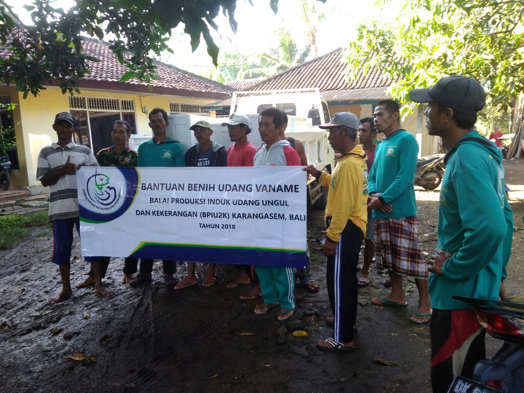 ipkani_jembrana's tweet photo. #aksipenyuluhkkp #aksippb Luhkan PNS dan PPB @RobiyantoBagus dampingi penebaran benih udang vaname berjumlah 605.668 ekor di Klp. Mina Jaya dalam rangka kegiatan bantuan atau uji perform dari @BPIU2K_K 
#kerja3ersama #kerjanyata 
@BudidayaKKP @BBRBLPP_Bali @puslatluhkp @brsdm_kp https://t.co/oVQGVhKPki