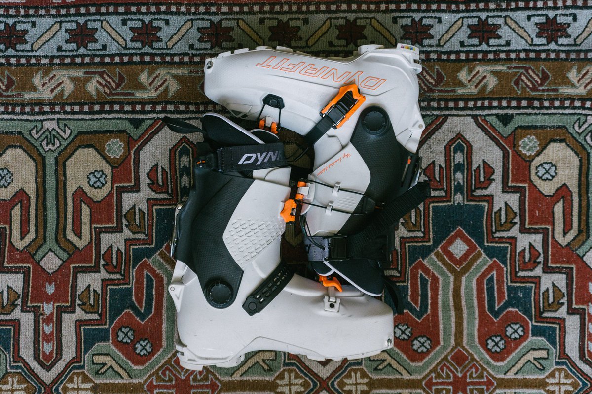 Doglotion Ski Mag tweet media