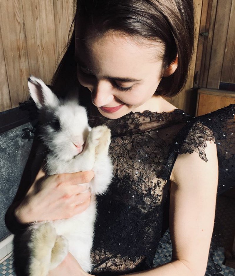 prvlilyjcollins's tweet image. Happy Easter! May you all have a blessed one. xo