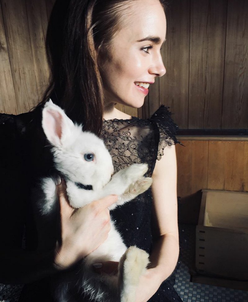 prvlilyjcollins's tweet image. Happy Easter! May you all have a blessed one. xo