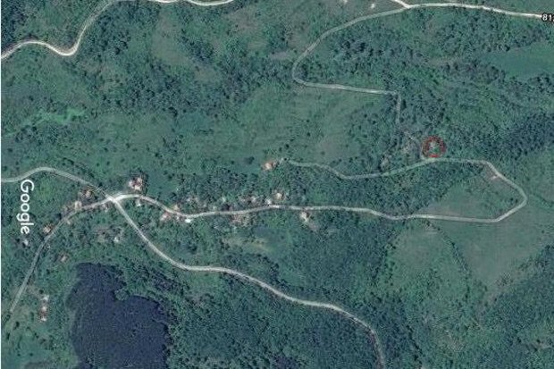 SmallFarmMounta's tweet image. 