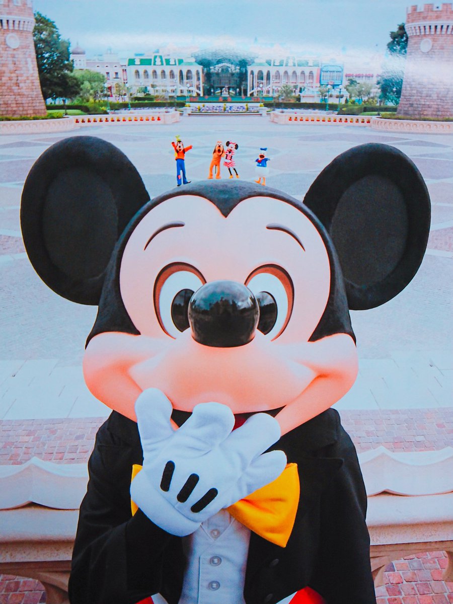 Disneylove4646's tweet photo. ディズニーファンのミッキー達が
可愛すぎる😍 https://t.co/ANa24xBTNm