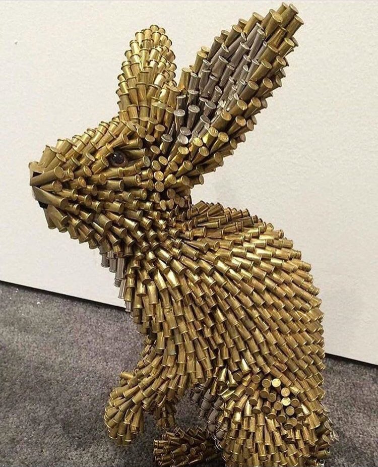 CloydRiversPics's tweet photo. Little Bunny Pew Pew. Merica. https://t.co/FnvqAT5nc0