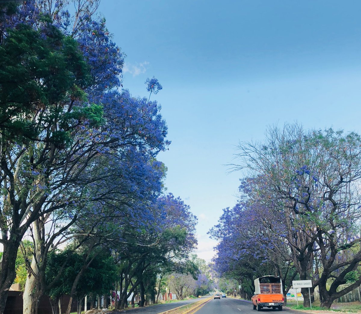 HechoenOax's tweet photo. Somos caminantes siempre y, la vida es una oportunidad para que a nuestro amparo crezcan los mejores sueños. Excelente primer domingo de abril 2018. https://t.co/IuwJ5uZoG2